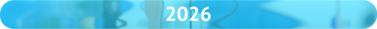 2026 год