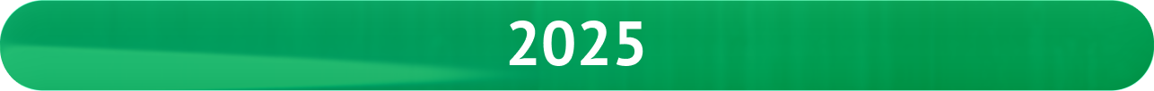 2025 год