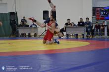 Сборная КФУ по спортивной борьбе завоевала бронзовые медали!