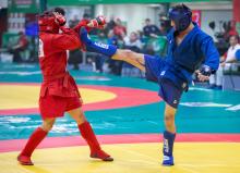 Гран-При по самбо